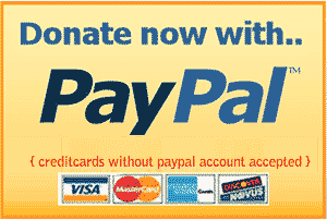 Image result for paypal button